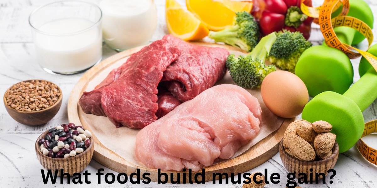 What foods build muscle gain?